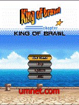 game pic for Fighter - King Of Brawl